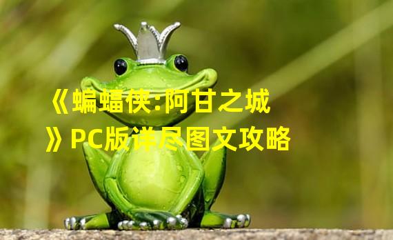 《蝙蝠侠:阿甘之城》PC版详尽图文攻略