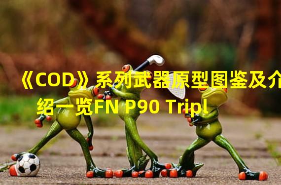 《COD》系列武器原型图鉴及介绍一览FN P90 Triple