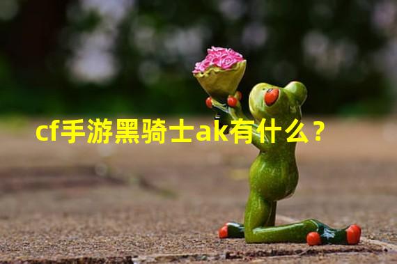 cf手游黑骑士ak有什么？