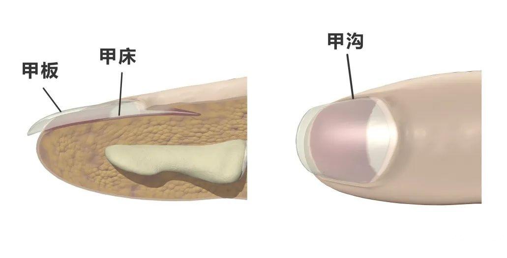 月牙掉落_暗黑三必掉落宠物掉落_wow月牙掉落